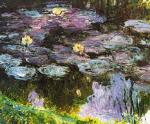 Water Lilies 5