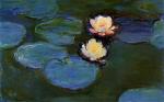 Water Lilies 54
