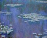 Water Lilies 58