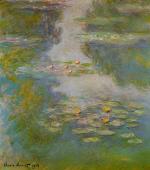 Water Lilies 63