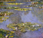 Water Lilies 81