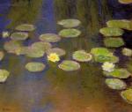 Water Lilies 85