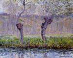 Willows in Spring