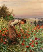 Girl Picking Poppies