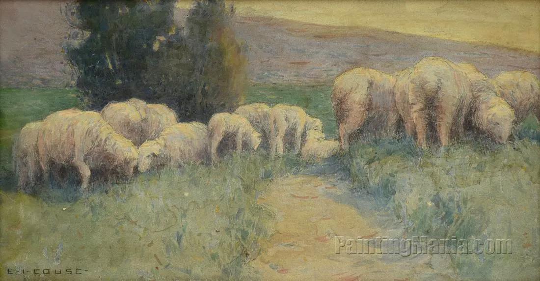 Grazing Sheep