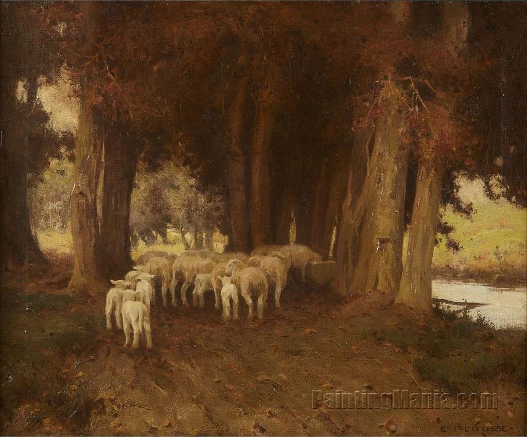 Sheep in the Woods