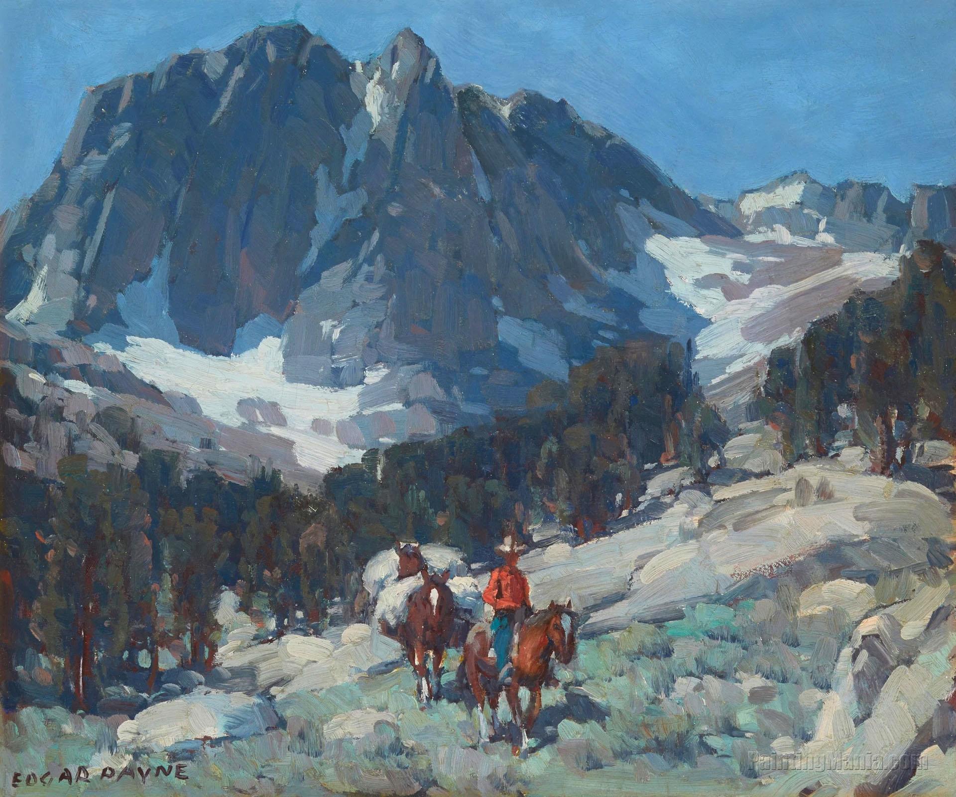 Rider on horseback with pack mules in a mountainous landscape
