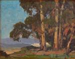 Eucalyptus Grove 2