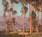 Eucalyptus and Hills