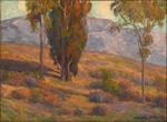 Eucalyptus Landscape