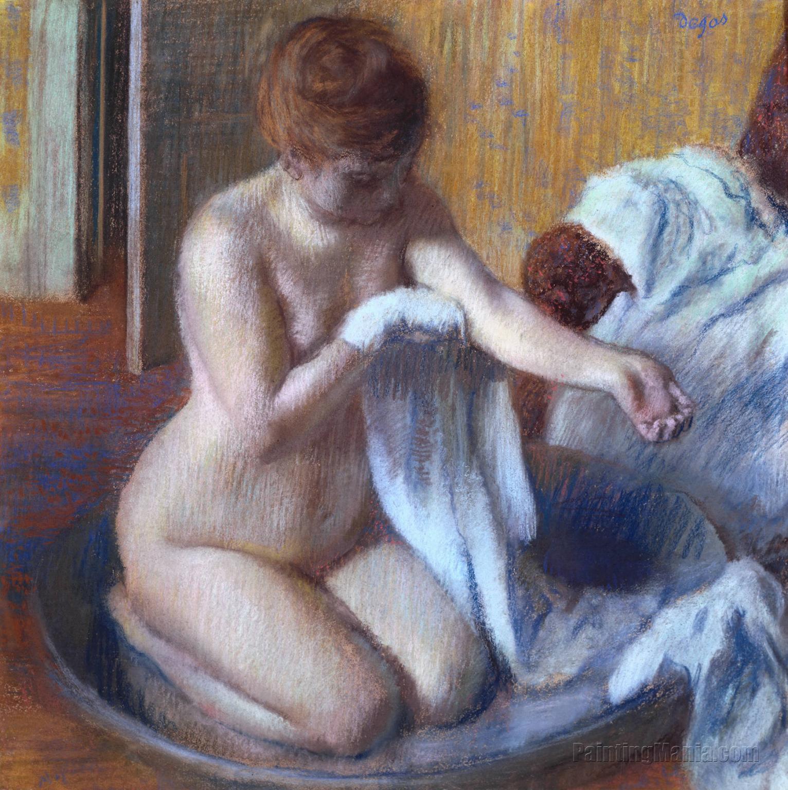 Woman in a Tub (Femme au bain)