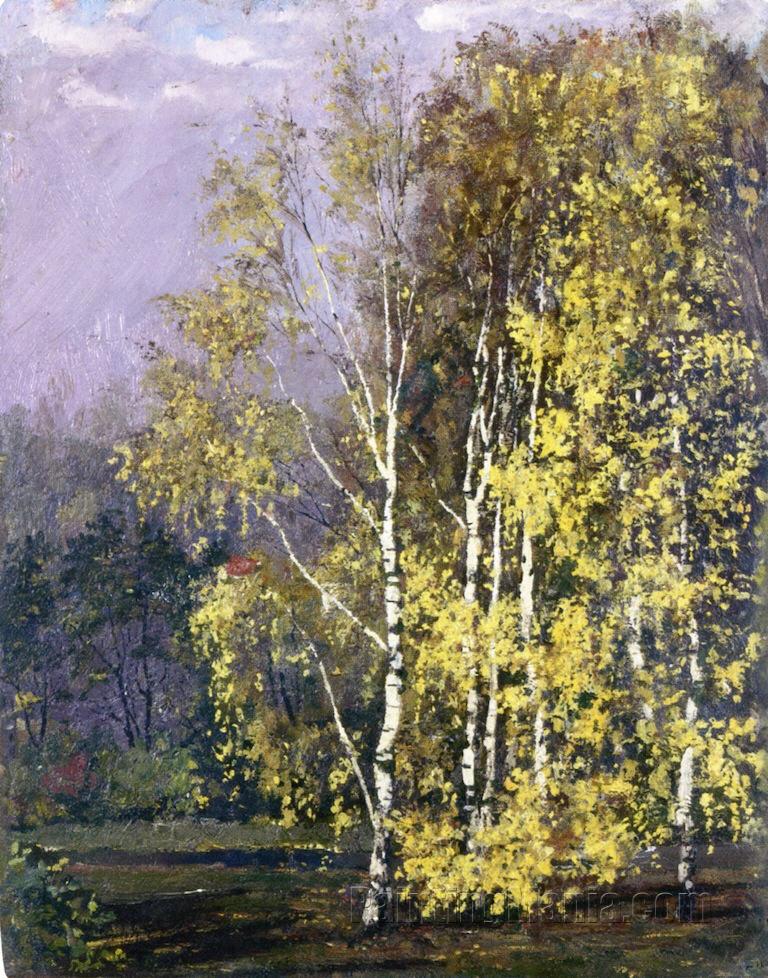 Birch Trees in the Autumn