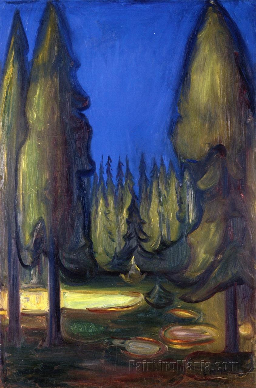 Dark Spruce Forest 1899