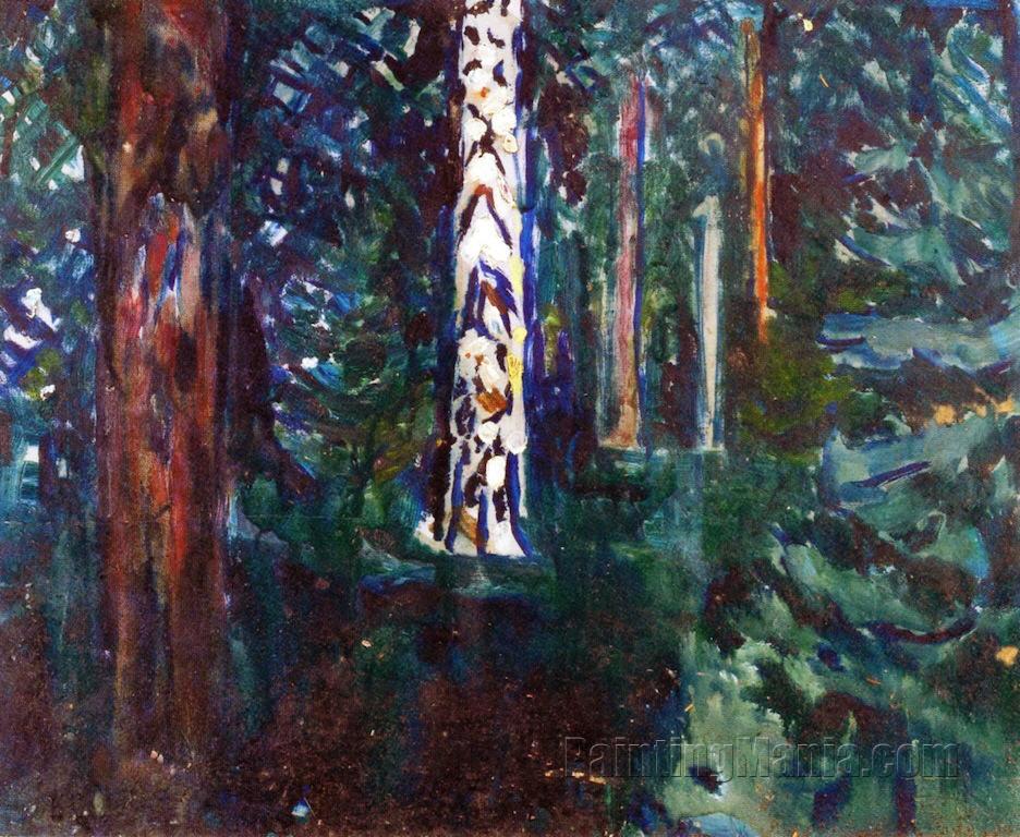 Forest with Birch Trunks