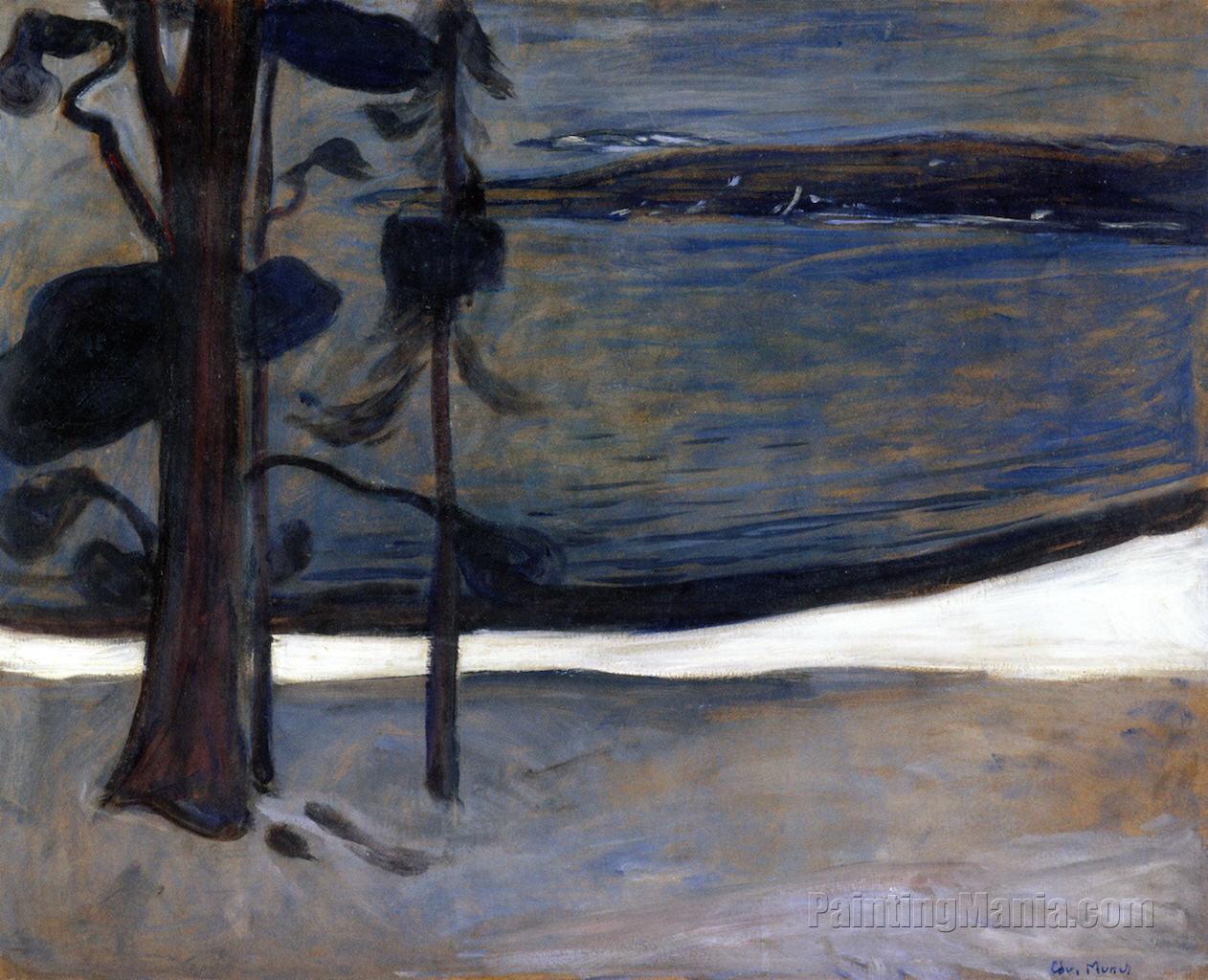 Symbolism 1900 Winter Night EDVARD MUNCH Expressionism Art Poster 