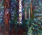 Forest with Birch Trunks