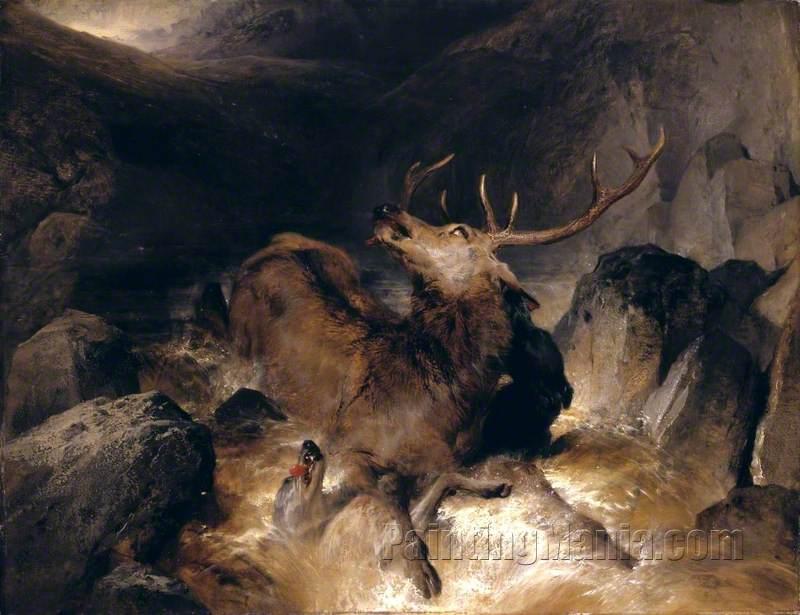 Deer and Deer Hounds in a Mountain Torrent ('The Hunted Stag')