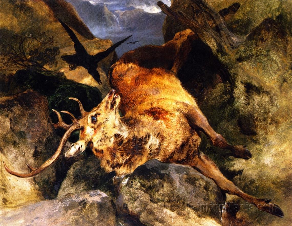 A Deer Fallen from a Precipice