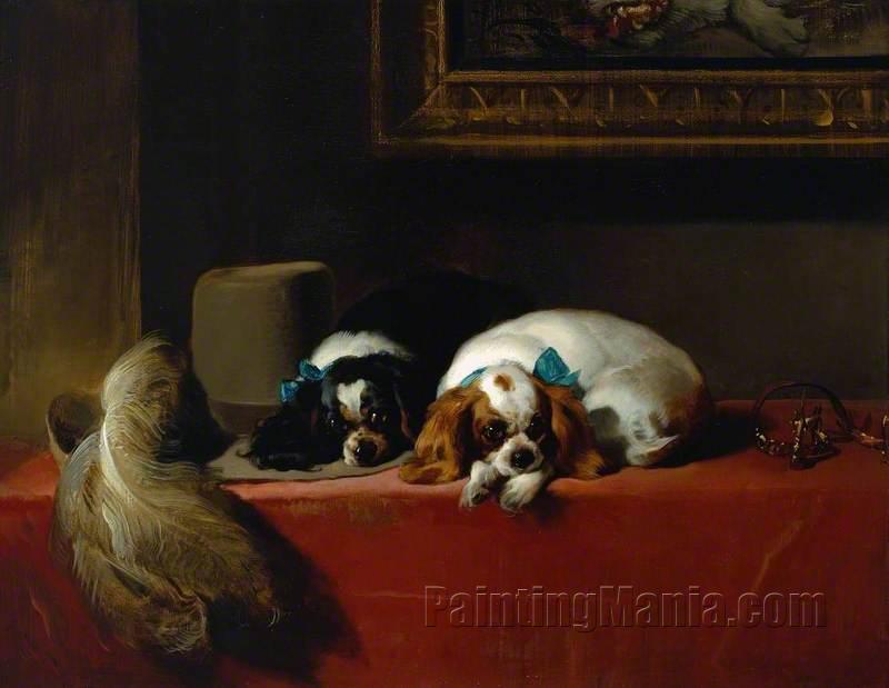 King Charles Spaniels (The Cavalier's Pets)