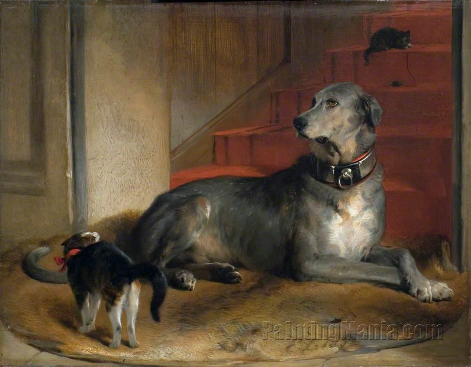 Lady Blessington's Dog: The Barrier