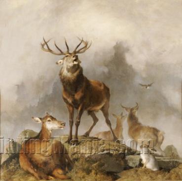 Scene in Braemar - Highland Deer