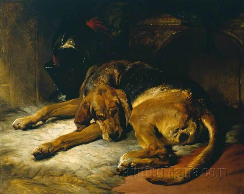 Sleeping Bloodhound