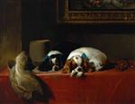 King Charles Spaniels (The Cavalier's Pets)
