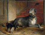 Lady Blessington's Dog: The Barrier