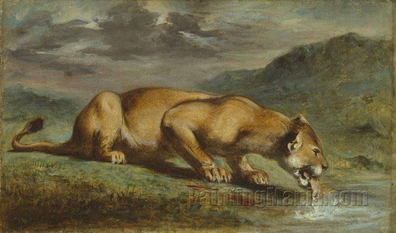 Wounded Lioness
