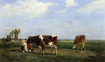 The Cows in a Meadow