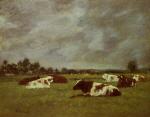 Cows in a Meadow. Morning Effect