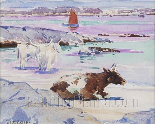 Cattle and Boat, Iona