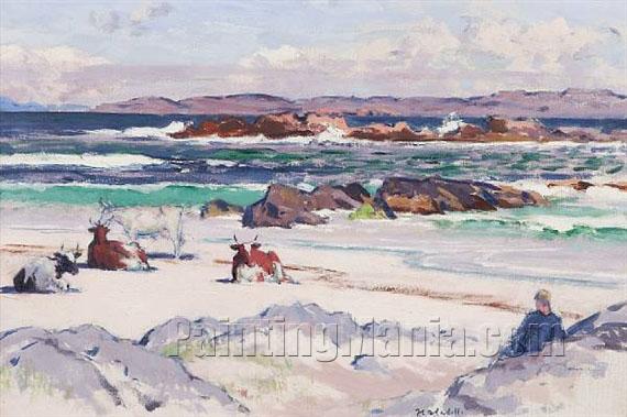 Cattle on the Shore, Iona