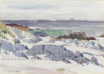 White Sands, Iona 1