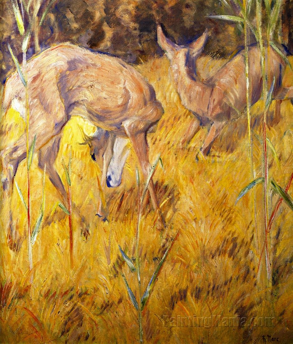 Deer in the Reeds