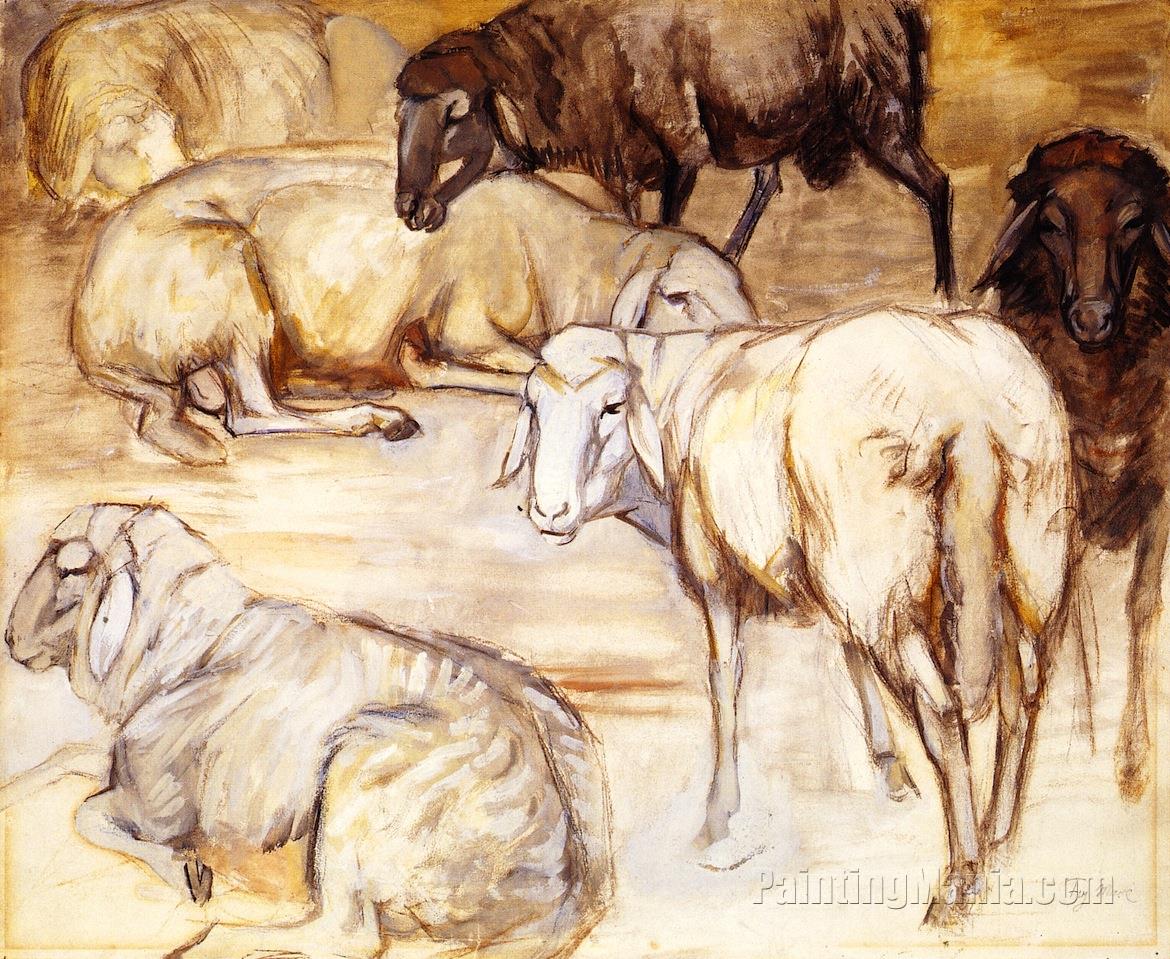 Flock of Sheep II