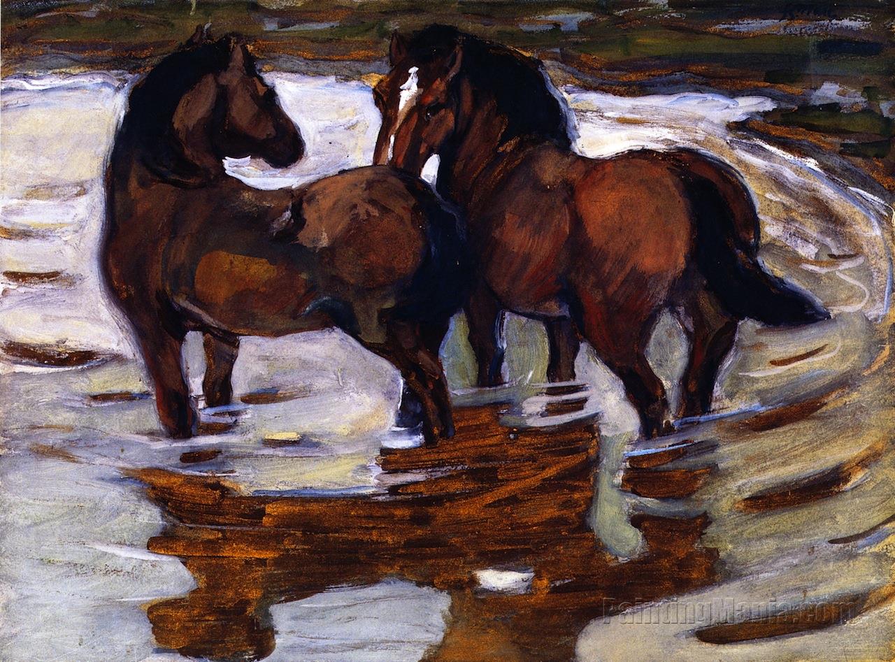 Two Horses at a Watering Place
