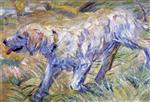 Siberian Dog (Dog Running in the Reeds)