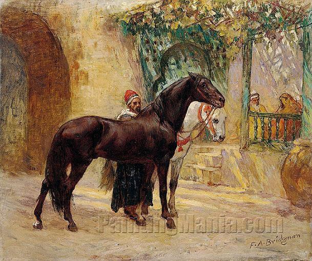 Barbary Horses at Cairo