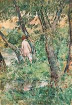 The Willows and the Bather