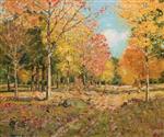 Autumnal Forest Scene