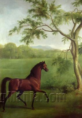 An Arabian Stallion Beneath a Tree