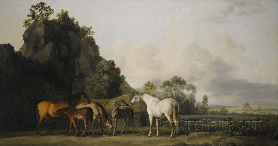 Brood Mares and Foals