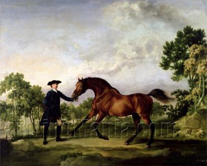 The Duke of Ancaster's Bay Stallion 'Blank' Held by a Groom