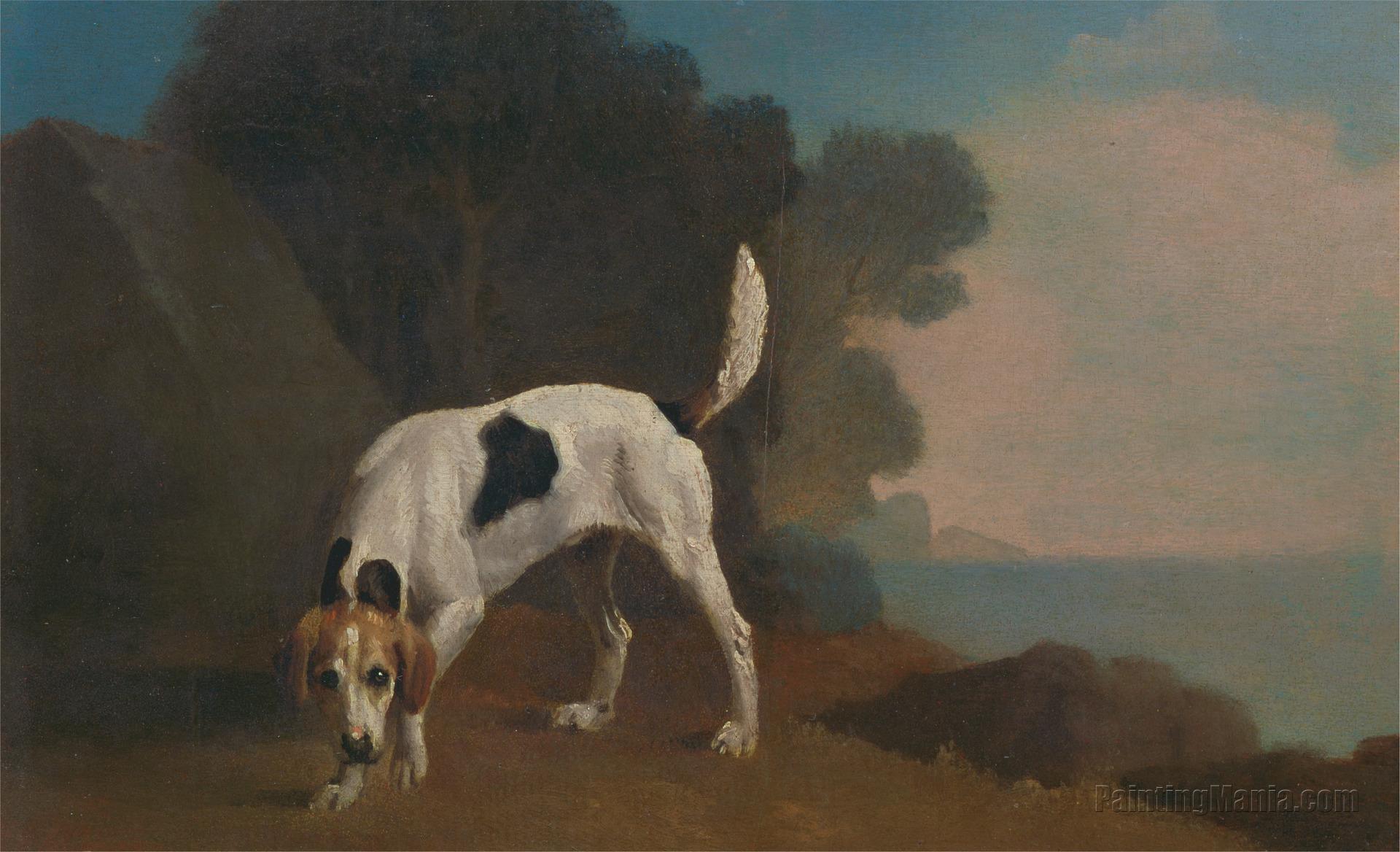 A Foxhound 1760