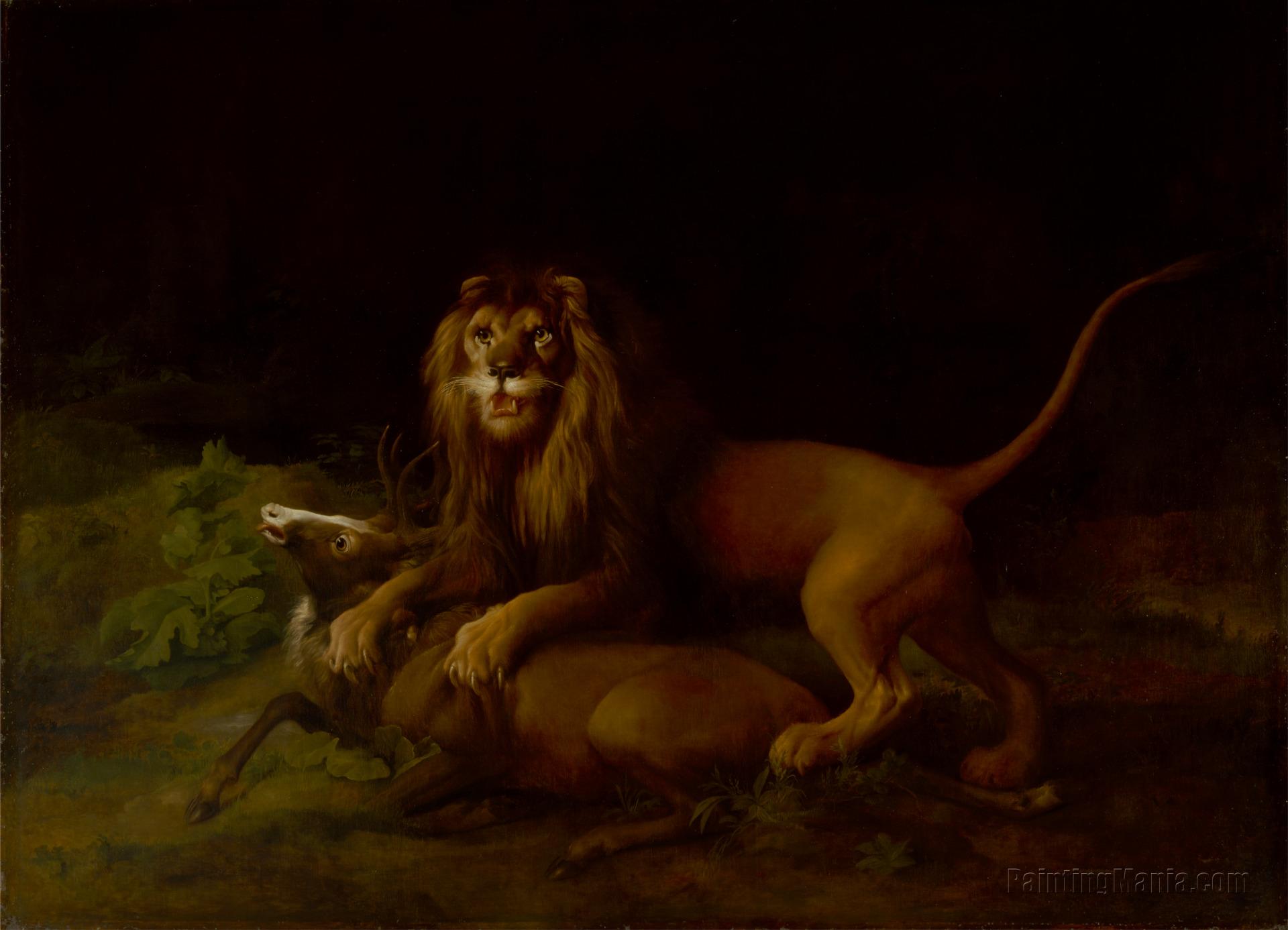 A Lion Attacking a Stag