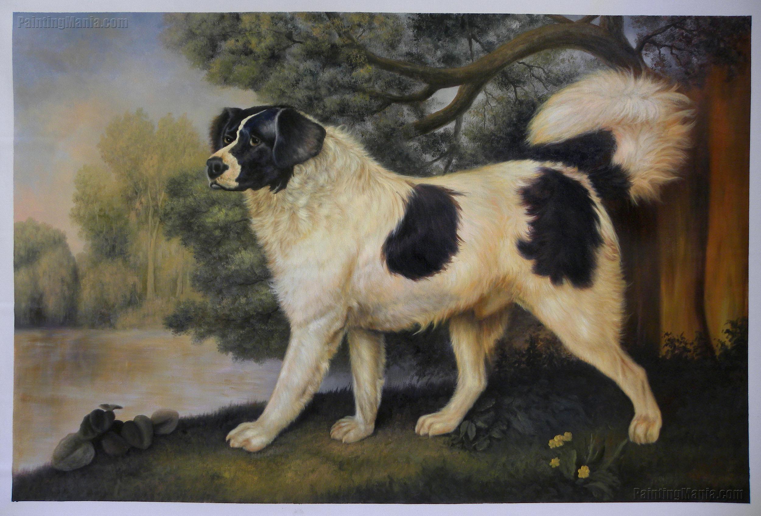 Portrait of a Newfoundland Dog, the Duke of York