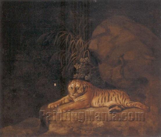 Portrait of the Royal Tiger