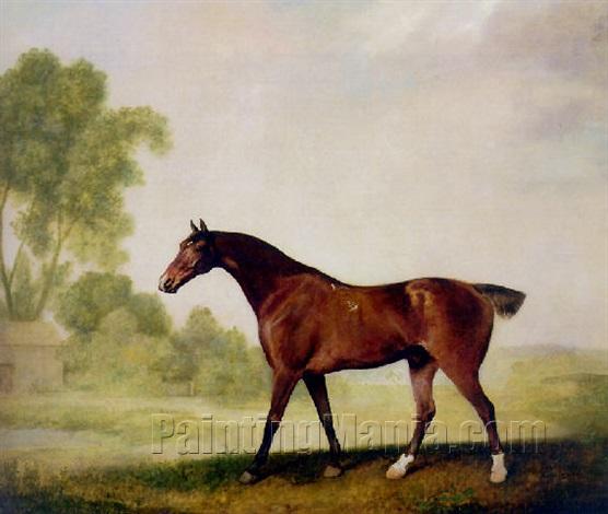 The racehorse "Eagle," winner of the Craven Stakes, Newmarket
