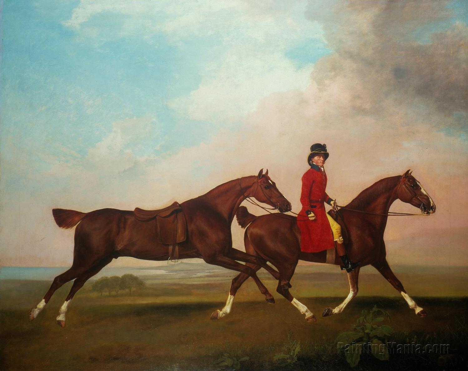 William Anderson with Two Saddle-Horses